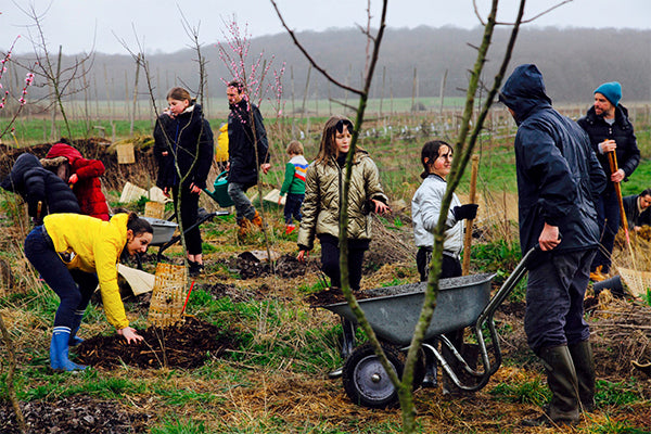 association des enfants et des arbres